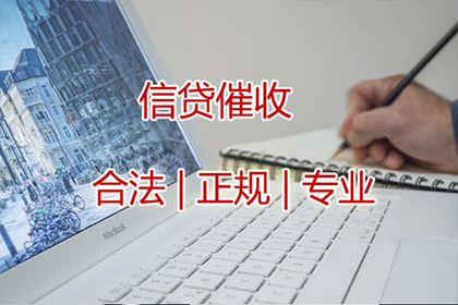 担保人面临借款人欠款未还时的法律途径